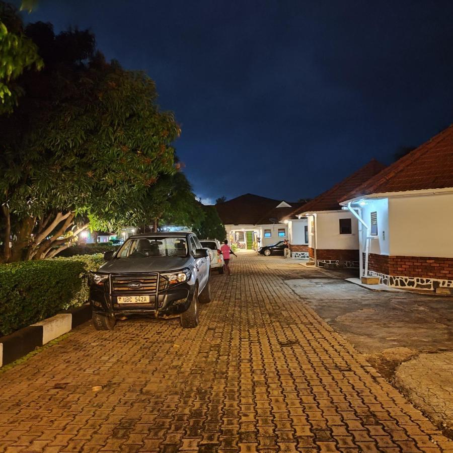 Northern Pearl Gulu Bagian luar foto
