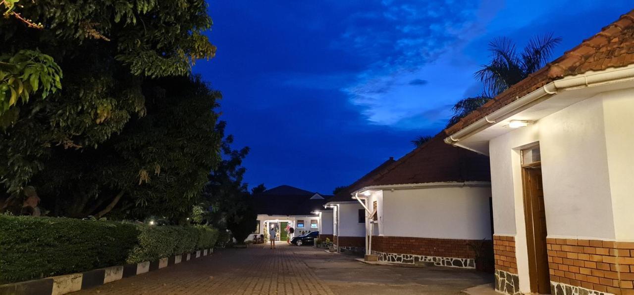 Northern Pearl Gulu Bagian luar foto