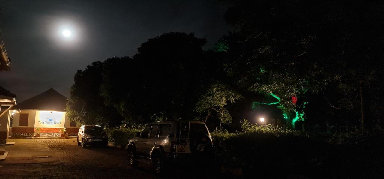 Northern Pearl Gulu Bagian luar foto