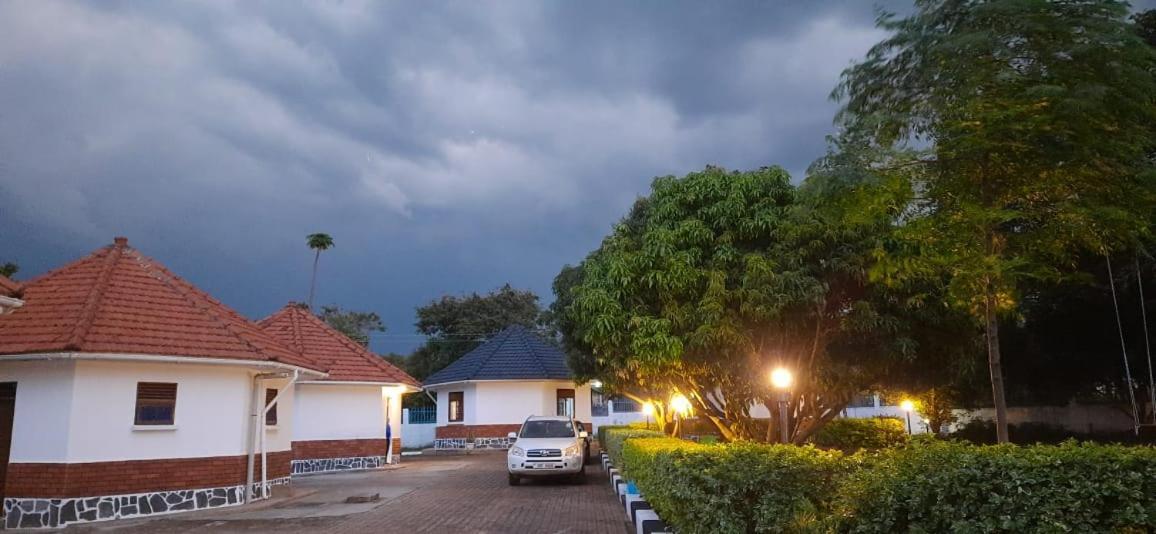 Northern Pearl Gulu Bagian luar foto