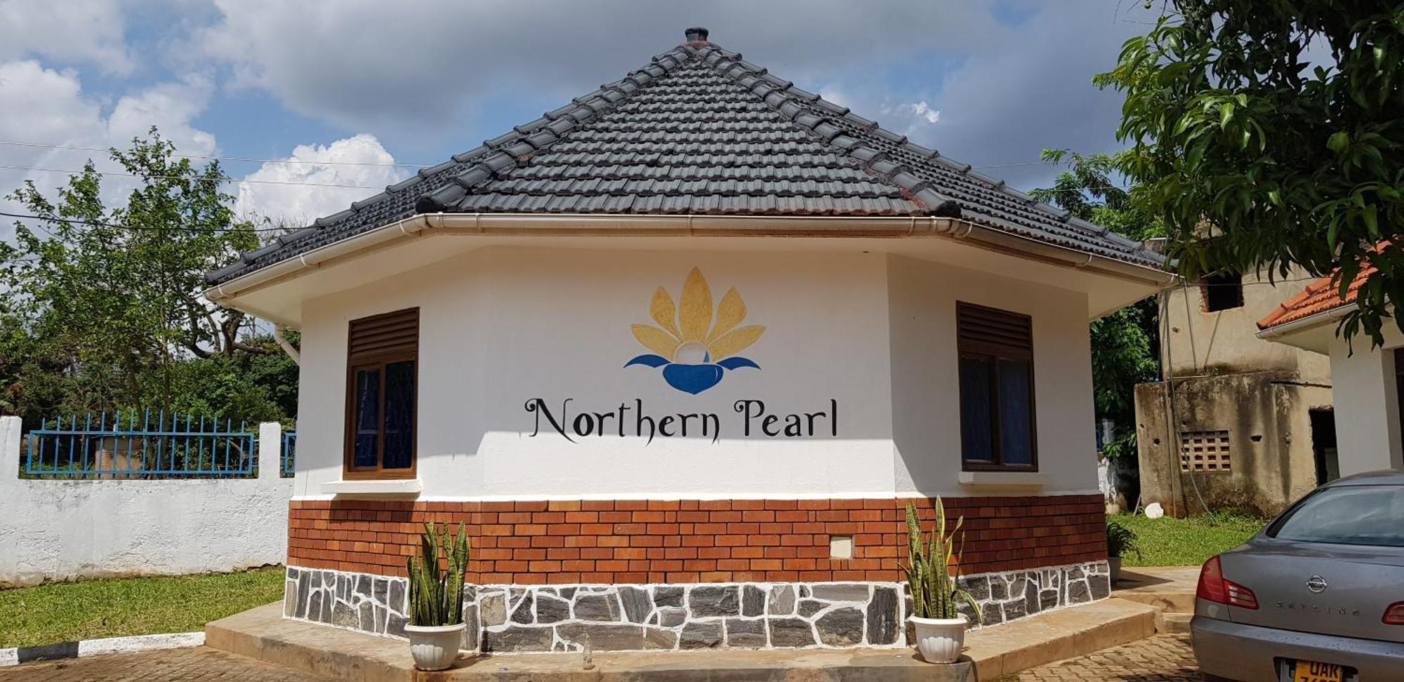 Northern Pearl Gulu Bagian luar foto